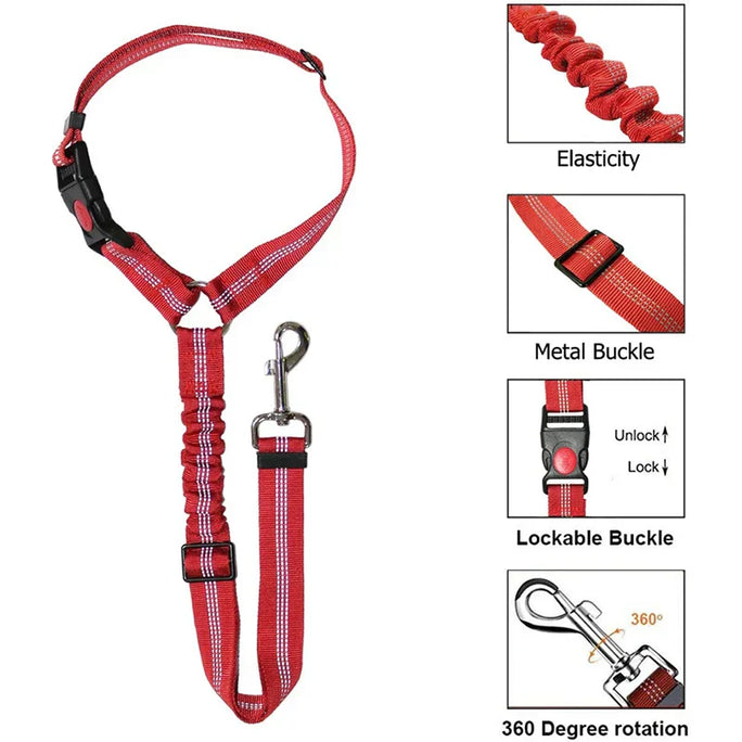 Two-in-One Dog Harness & Leash – Comfort, Control & Style for Every Walk