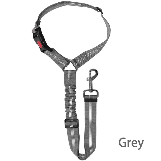 Two-in-One Dog Harness & Leash – Comfort, Control & Style for Every Walk