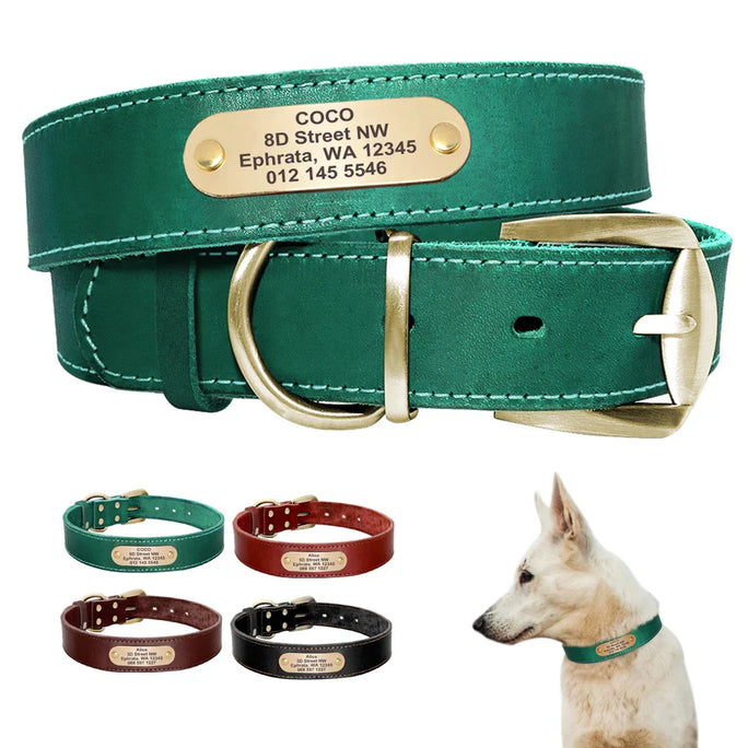 Personalized Leather Dog Collar – Stylish, Comfortable & Custom Engraved for Your Pet