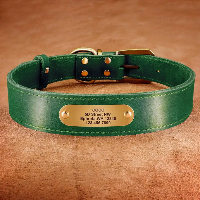 Personalized Leather Dog Collar – Stylish, Comfortable & Custom Engraved for Your Pet