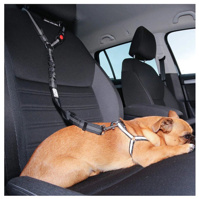 Two-in-One Dog Harness & Leash – Comfort, Control & Style for Every Walk